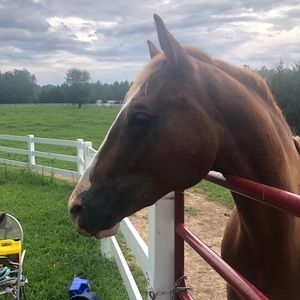 Meet your Posher, Claiborne